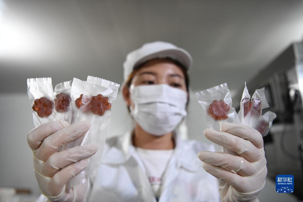 最新版捕鱼游戏